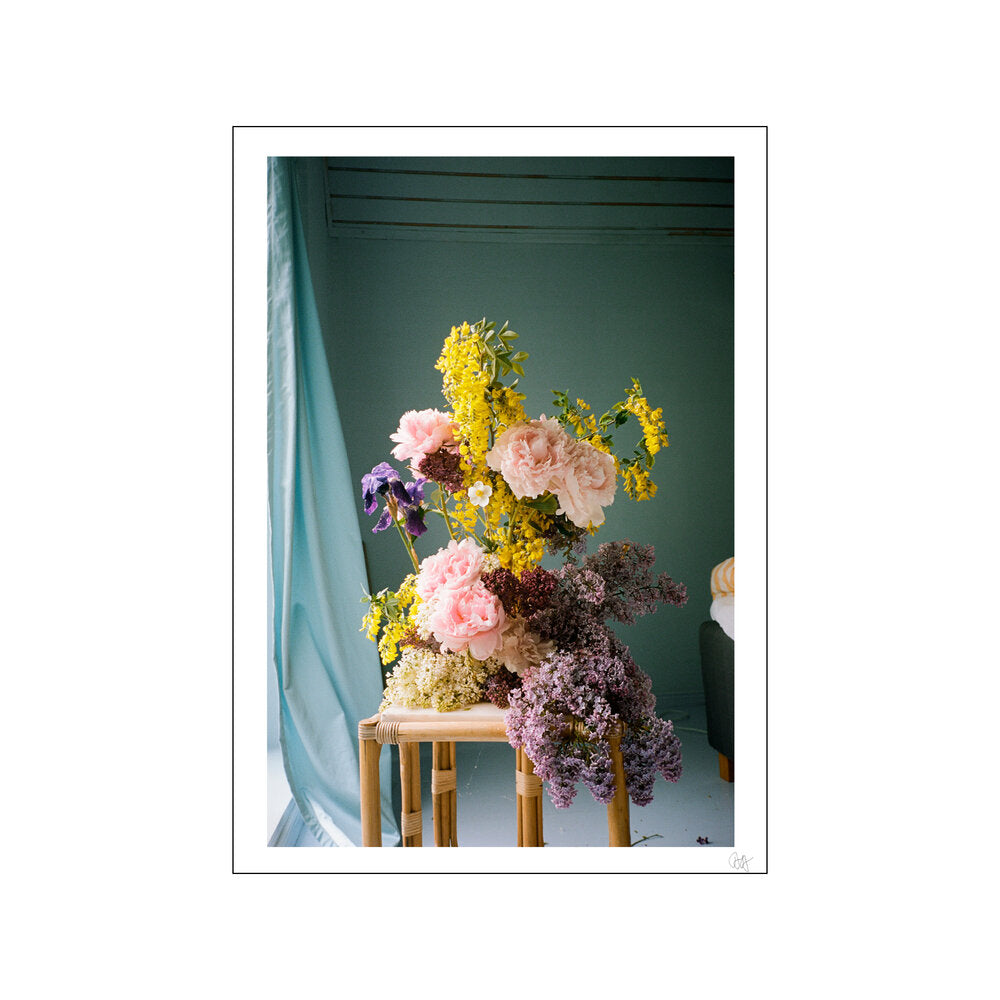 Poppybana plakat, mønstret - 50x70 cm